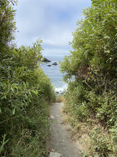 IMG 0729
